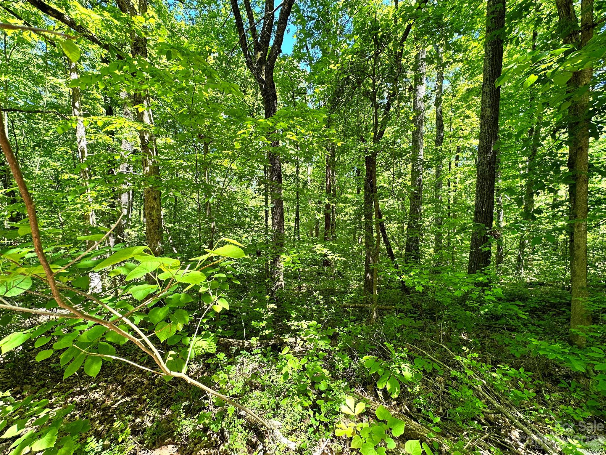 #168 Rolling Road Lincolnton NC 28092