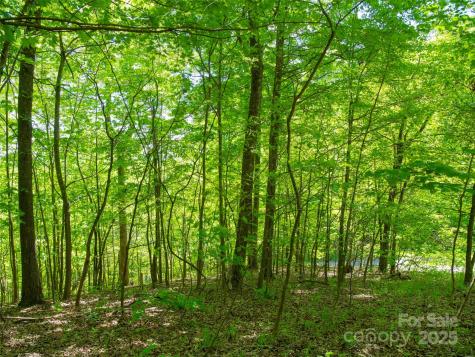 +/- 1.85 Acres Pinnacle Parkway Union Mills NC 28167