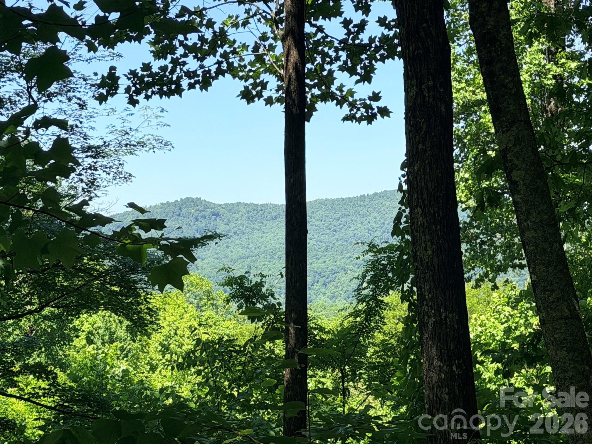 Lot 10 Timbercliff Trail Black Mountain NC 28711