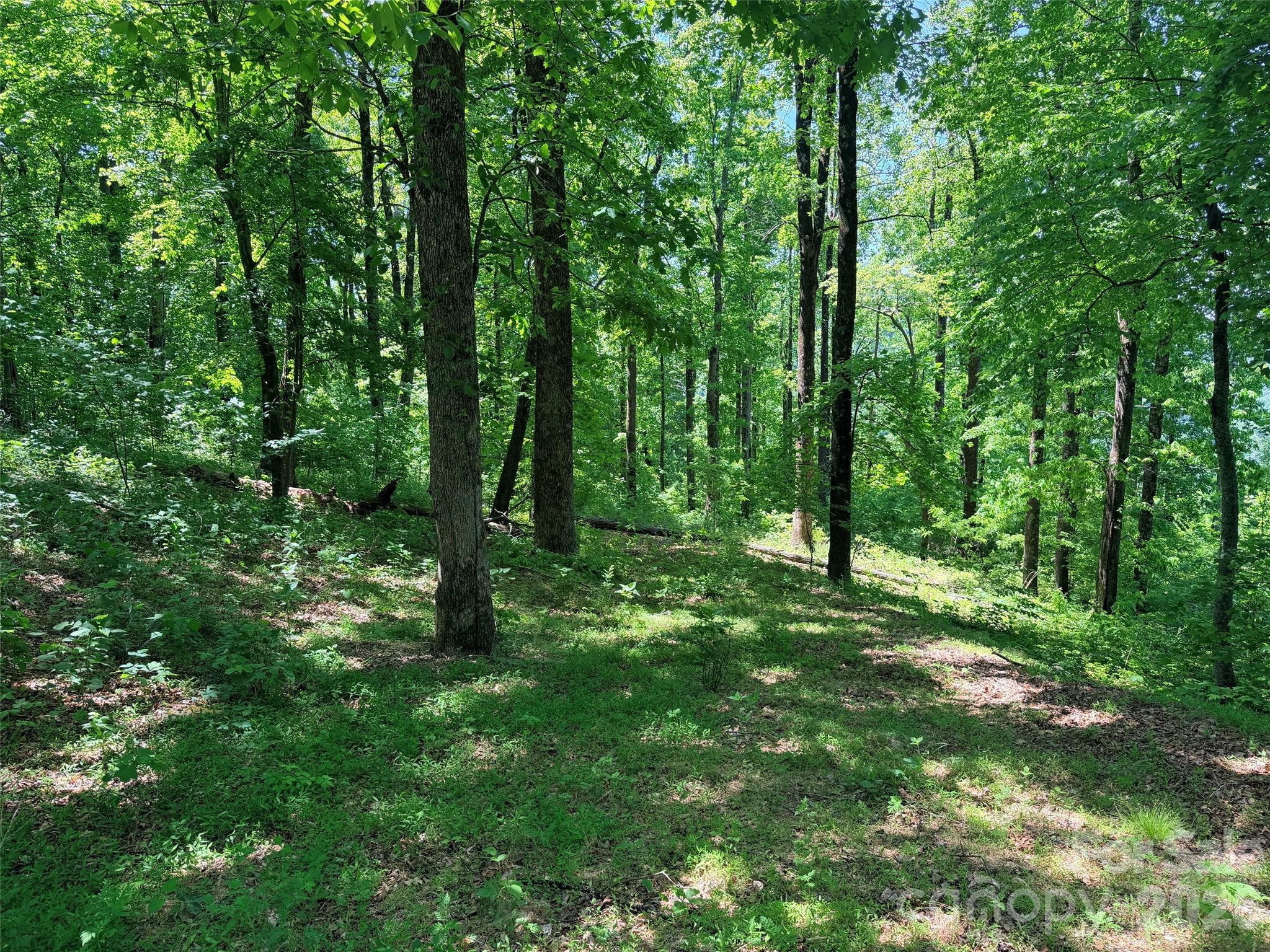 Lot 10 Timbercliff Trail Black Mountain NC 28711