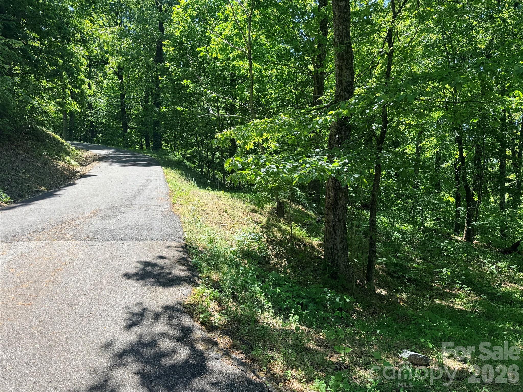 Lot 10 Timbercliff Trail Black Mountain NC 28711