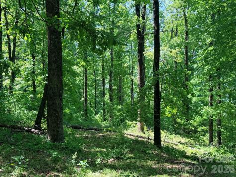 Lot 10 Timbercliff Trail Black Mountain NC 28711