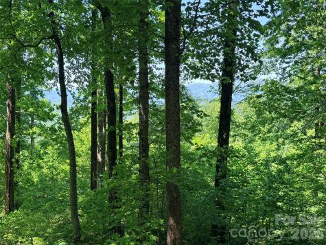 Lot 10 Timbercliff Trail Black Mountain NC 28711