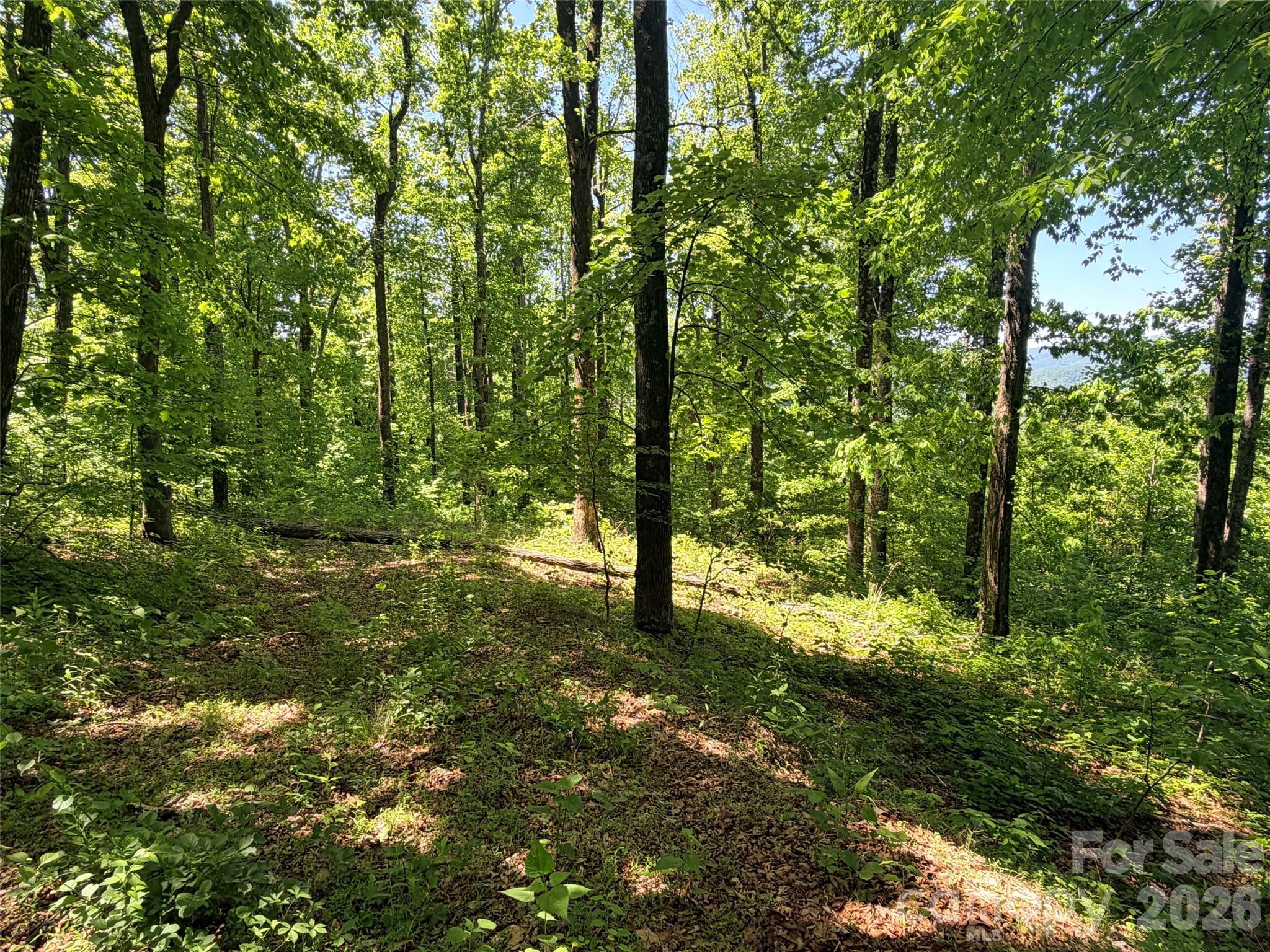 Lot 10 Timbercliff Trail Black Mountain NC 28711