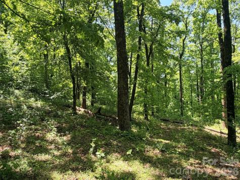 Lot 10 Timbercliff Trail Black Mountain NC 28711