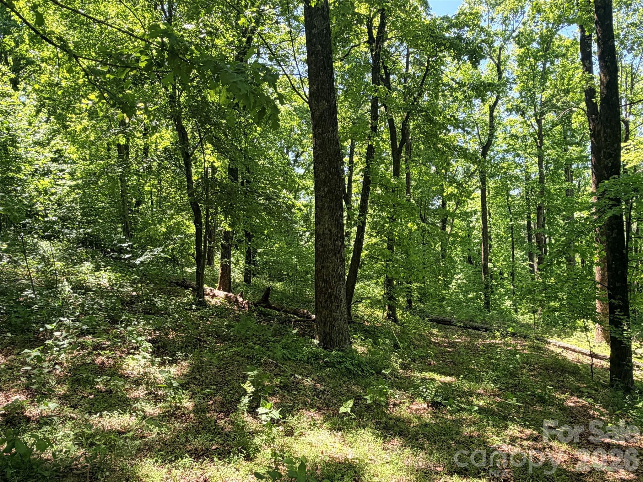 Lot 10 Timbercliff Trail Black Mountain NC 28711