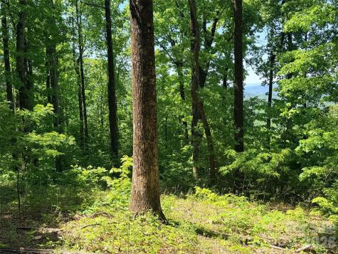 Lot 10 Timbercliff Trail Black Mountain NC 28711