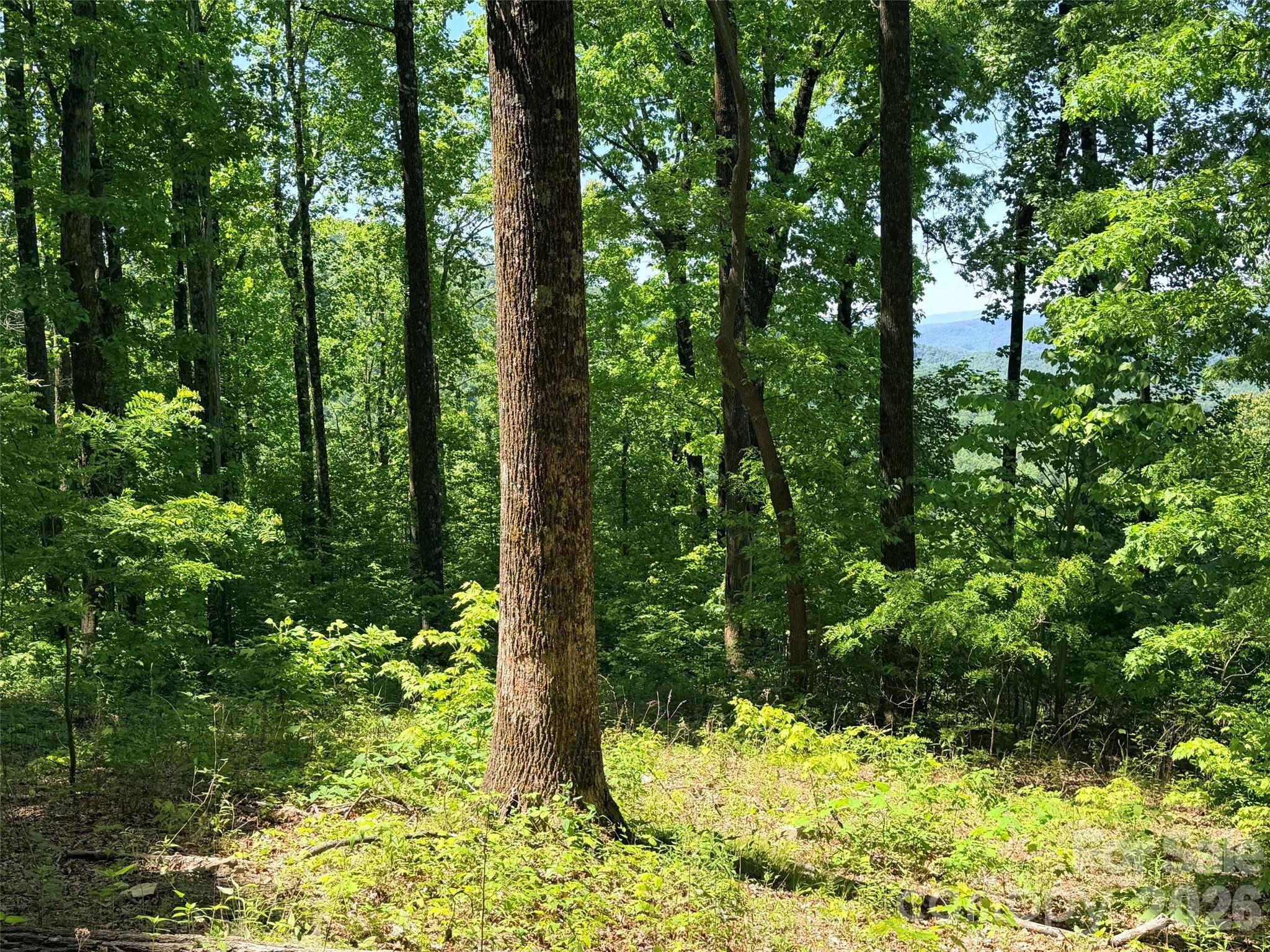 Lot 10 Timbercliff Trail Black Mountain NC 28711