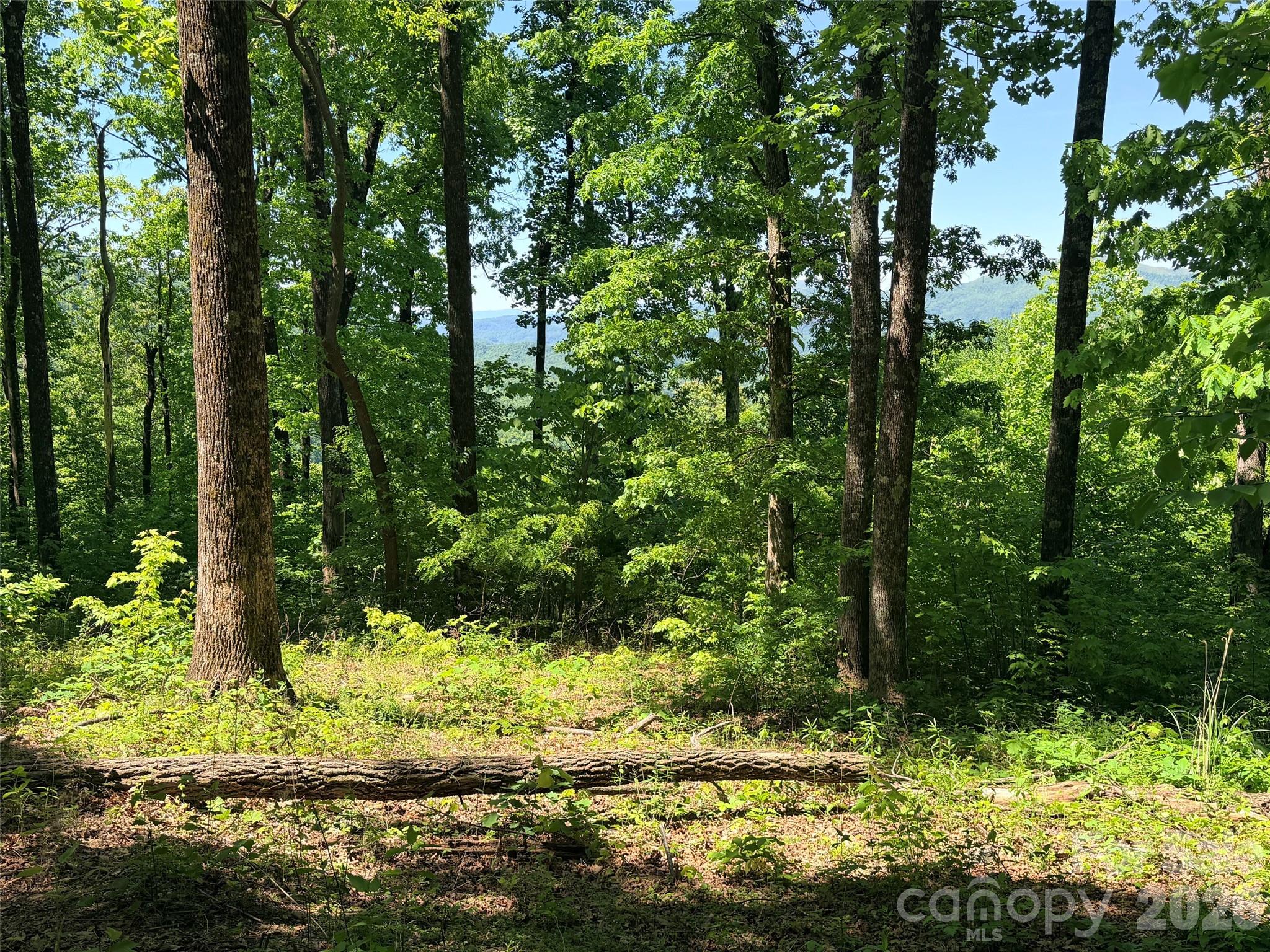 Lot 10 Timbercliff Trail Black Mountain NC 28711
