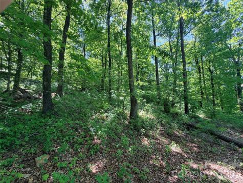 Lot 10 Timbercliff Trail Black Mountain NC 28711