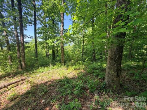 Lot 10 Timbercliff Trail Black Mountain NC 28711