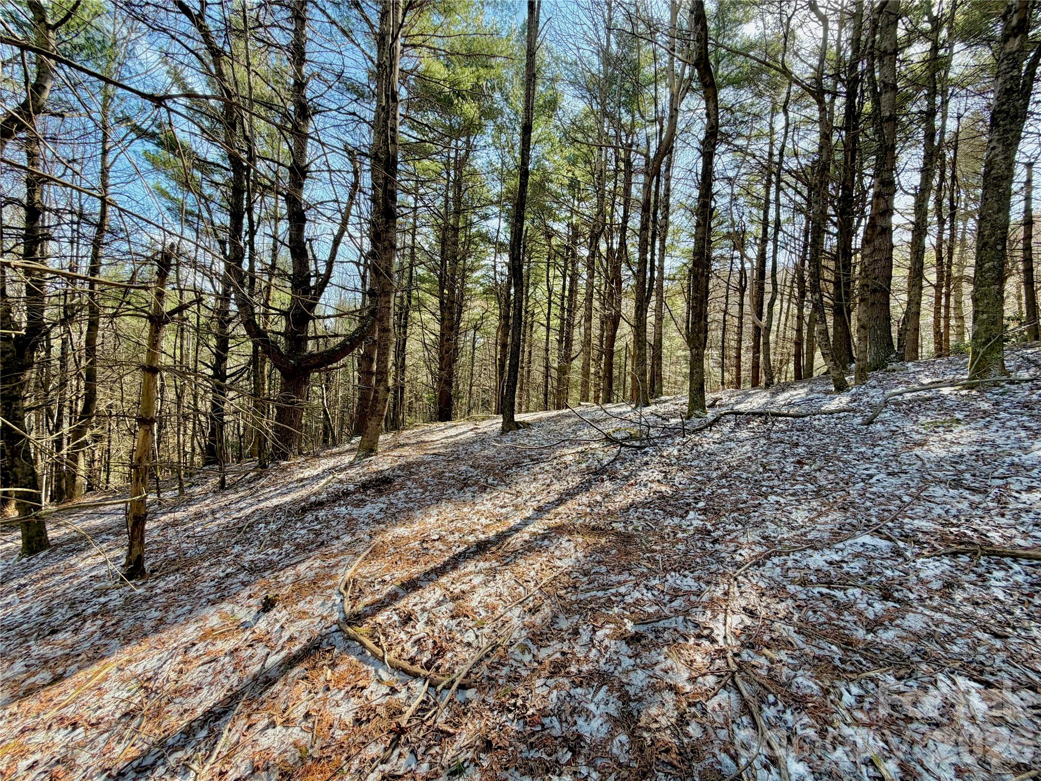 Tbd George Hayes Road Boone NC 28607