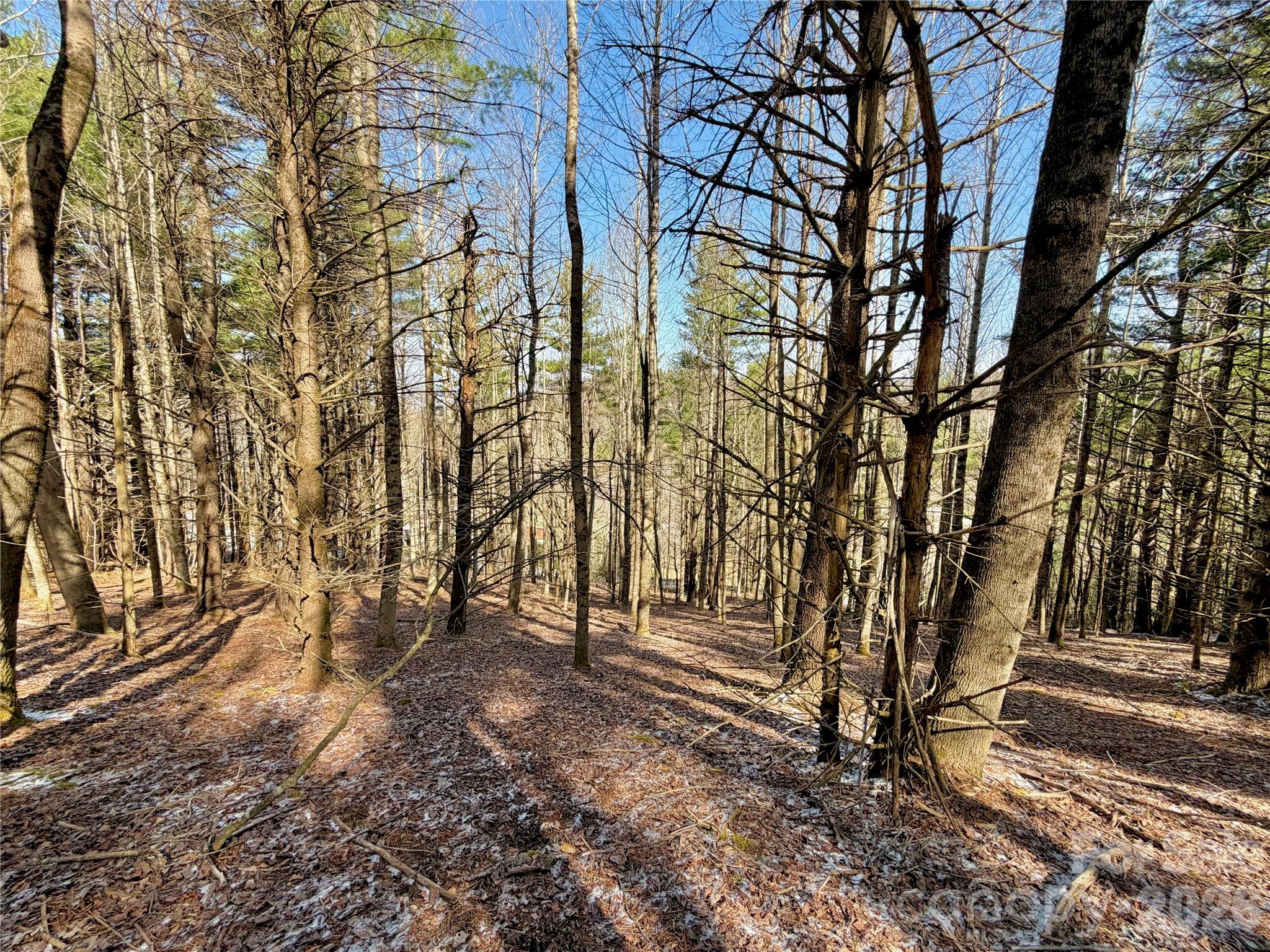 Tbd George Hayes Road Boone NC 28607