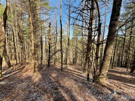 Tbd George Hayes Road Boone NC 28607