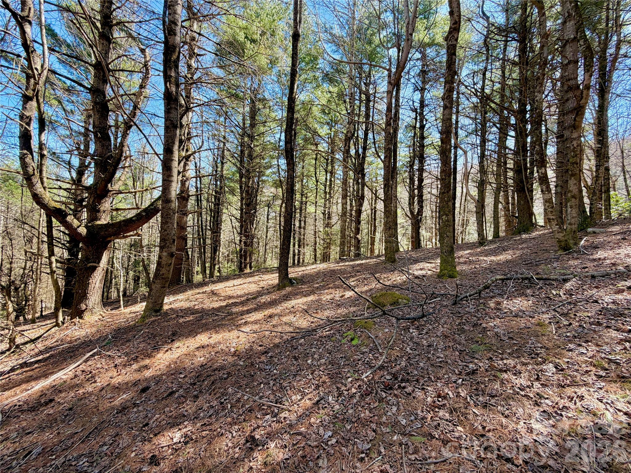 Tbd George Hayes Road Boone NC 28607
