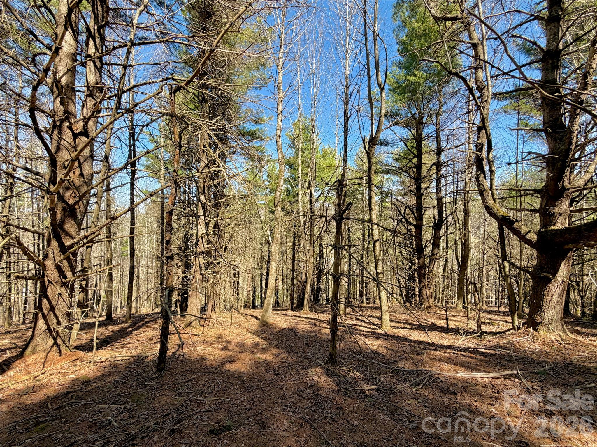 Tbd George Hayes Road Boone NC 28607