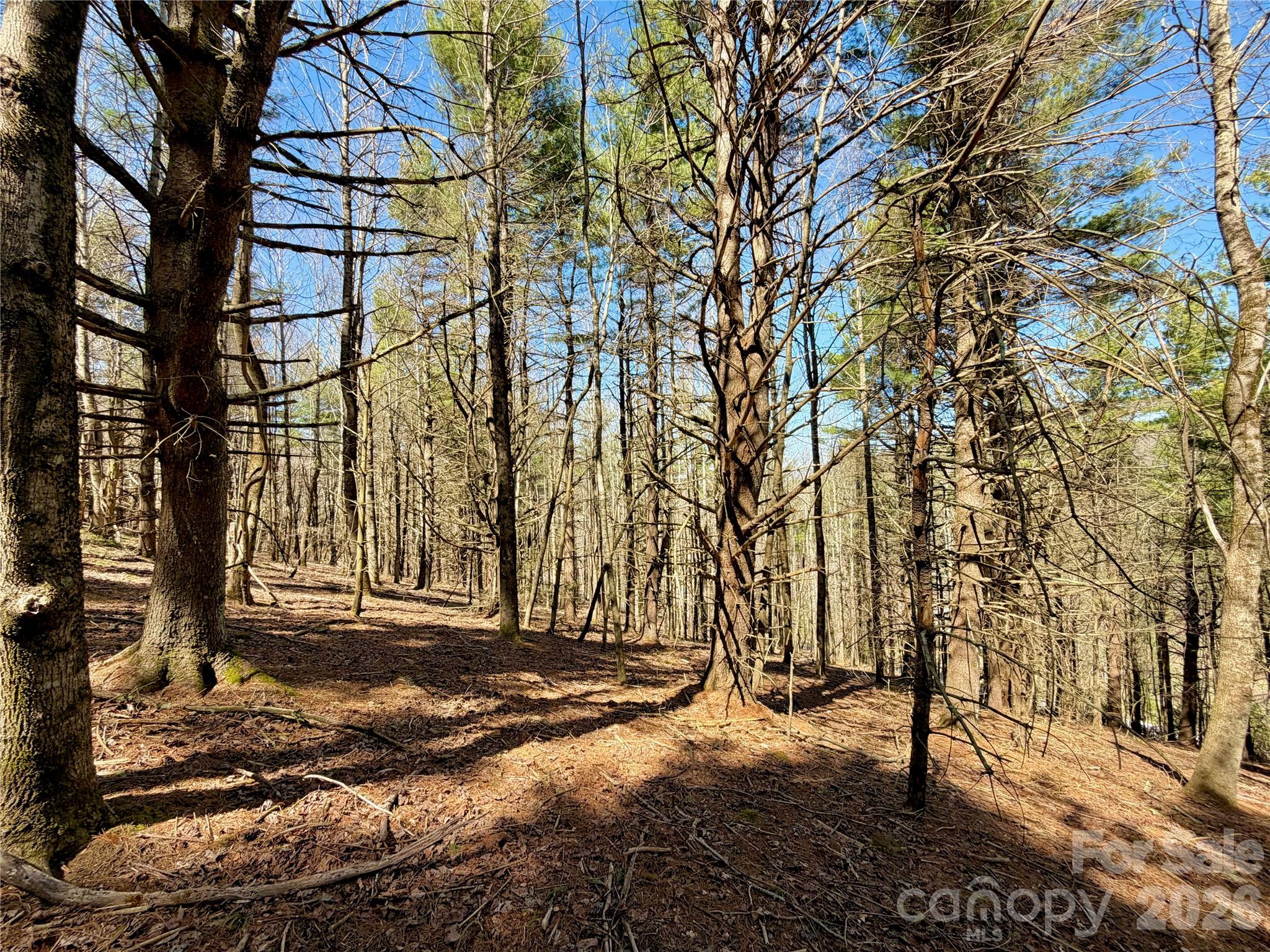 Tbd George Hayes Road Boone NC 28607