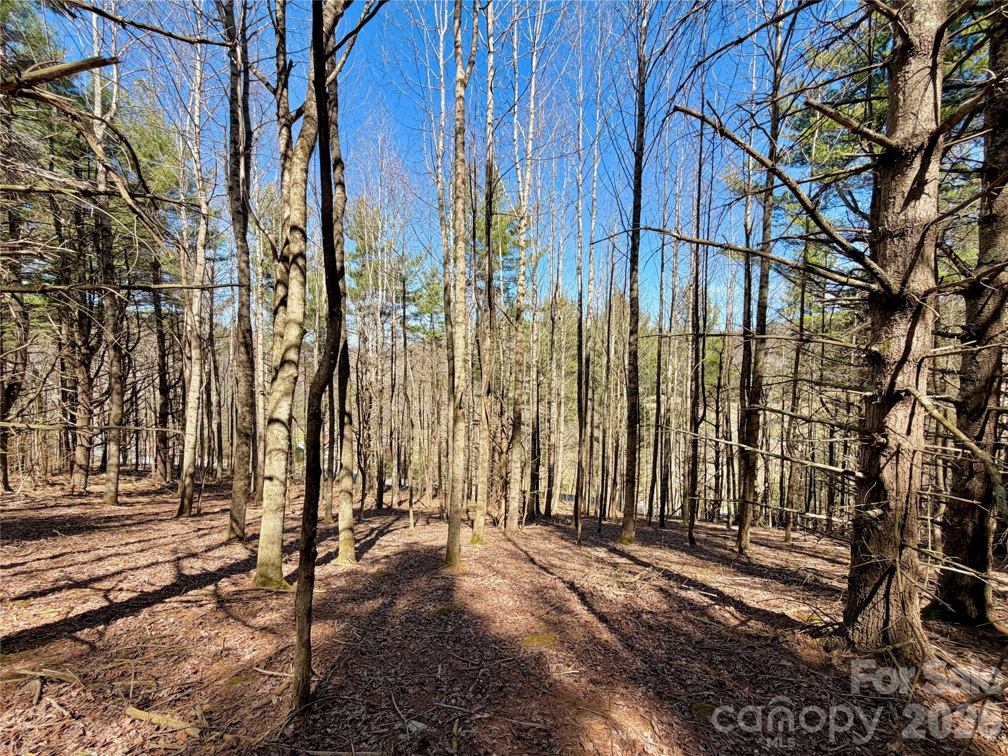 Tbd George Hayes Road Boone NC 28607