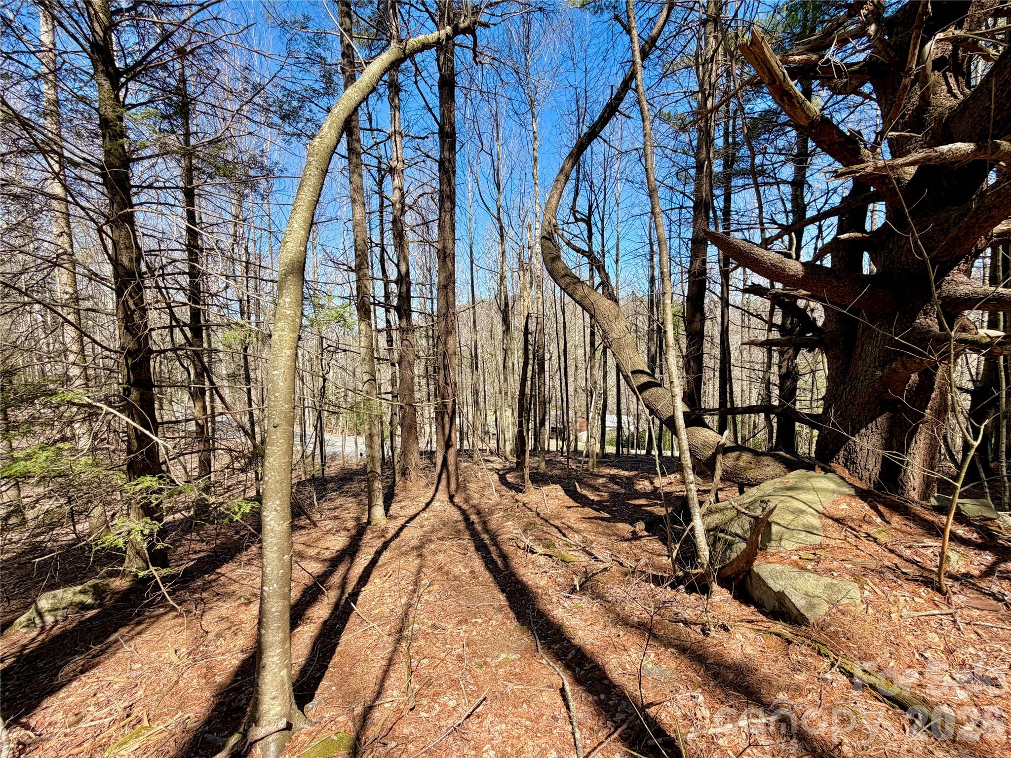 Tbd George Hayes Road Boone NC 28607