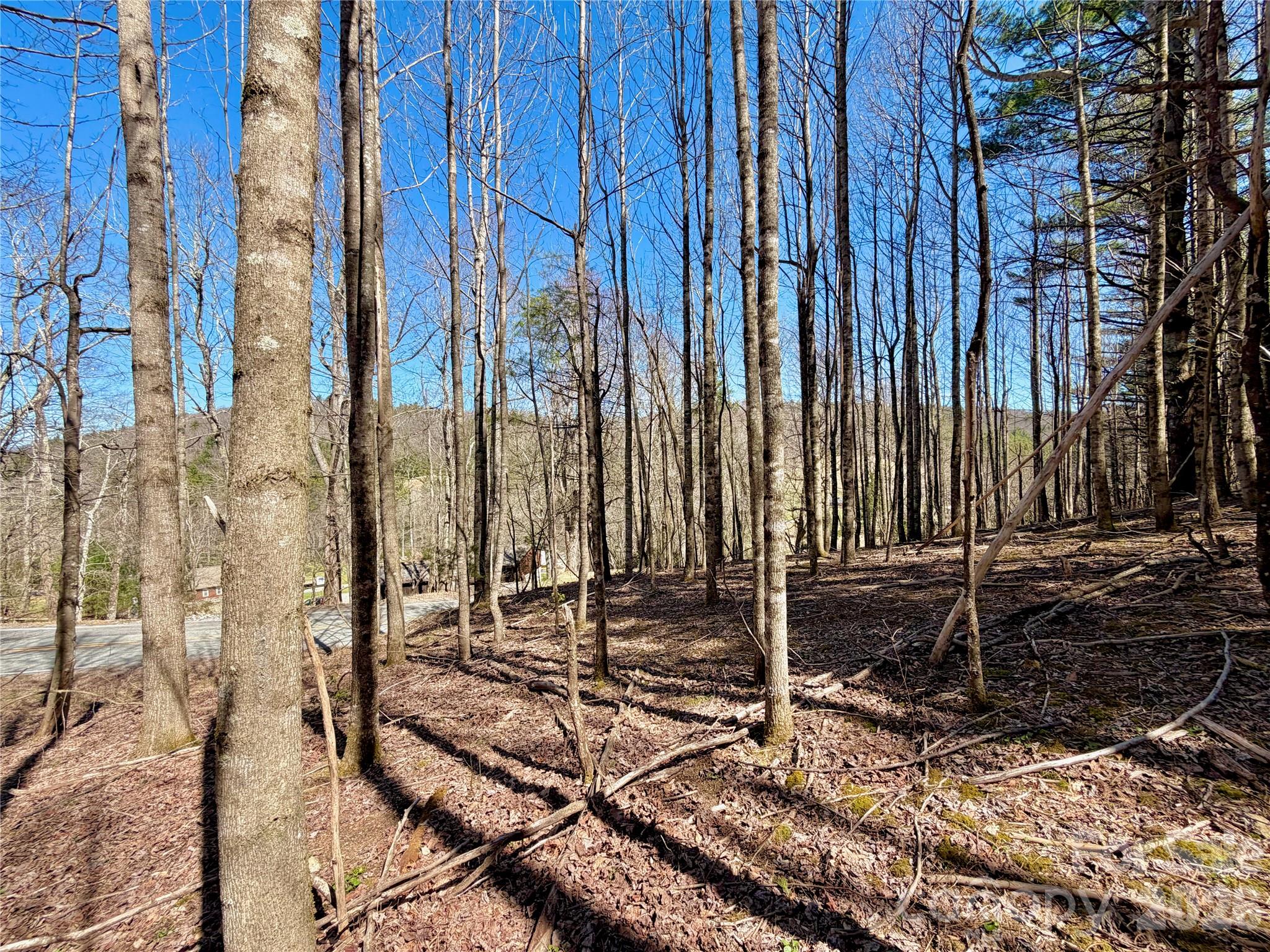 Tbd George Hayes Road Boone NC 28607