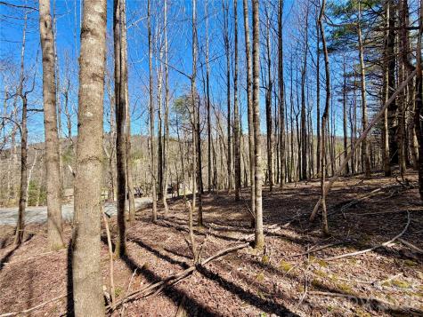 Tbd George Hayes Road Boone NC 28607