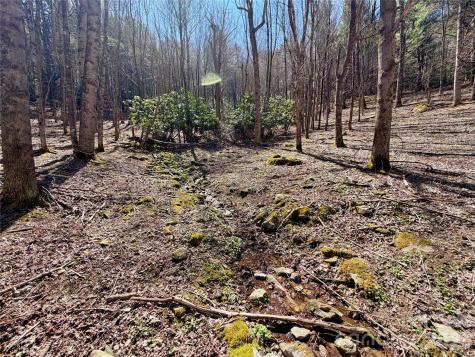Tbd George Hayes Road Boone NC 28607