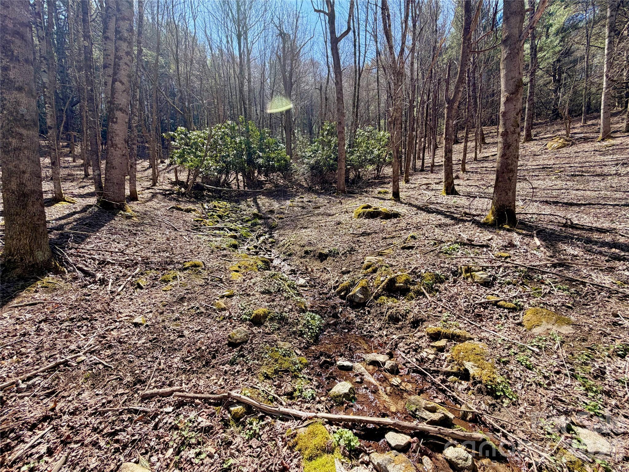 Tbd George Hayes Road Boone NC 28607