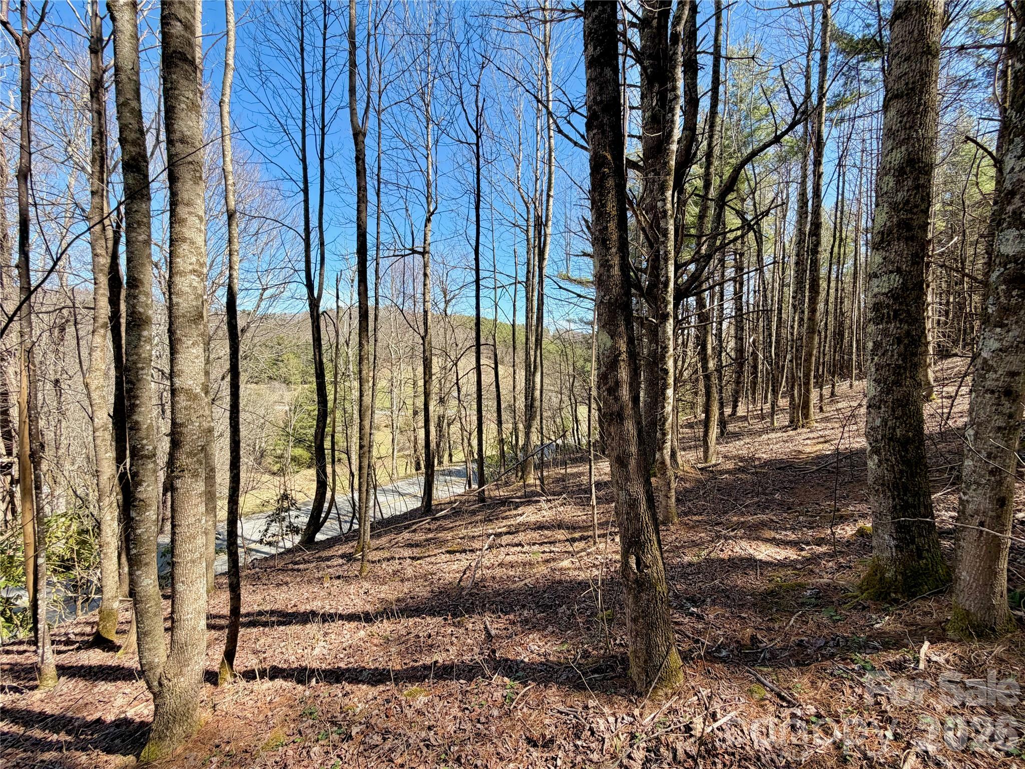 Tbd George Hayes Road Boone NC 28607