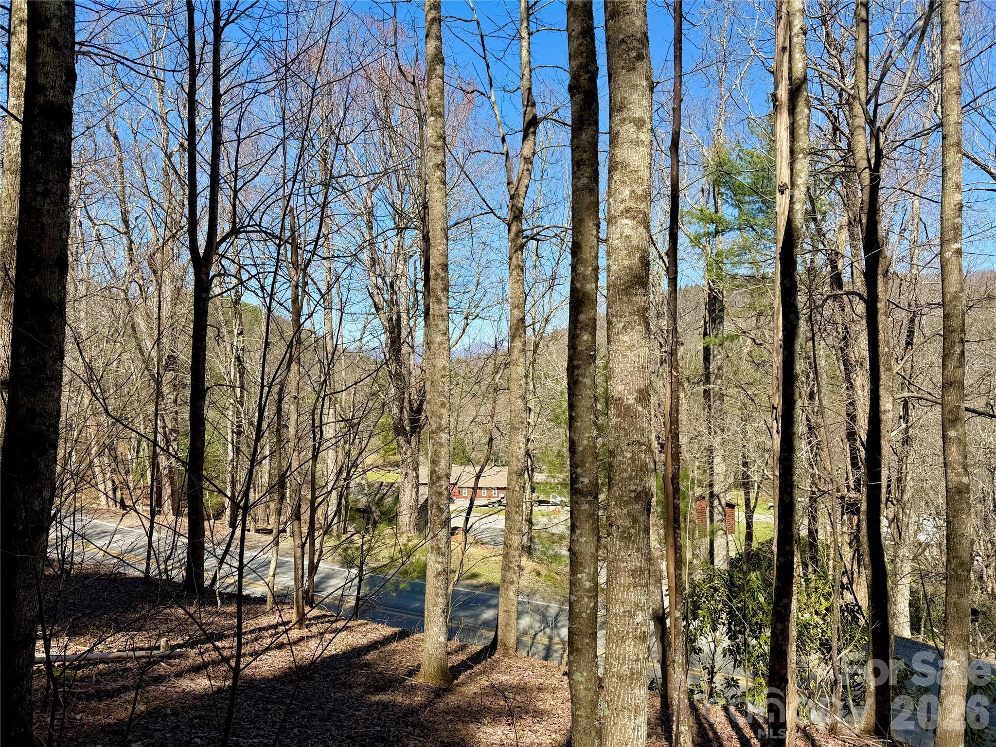 Tbd George Hayes Road Boone NC 28607