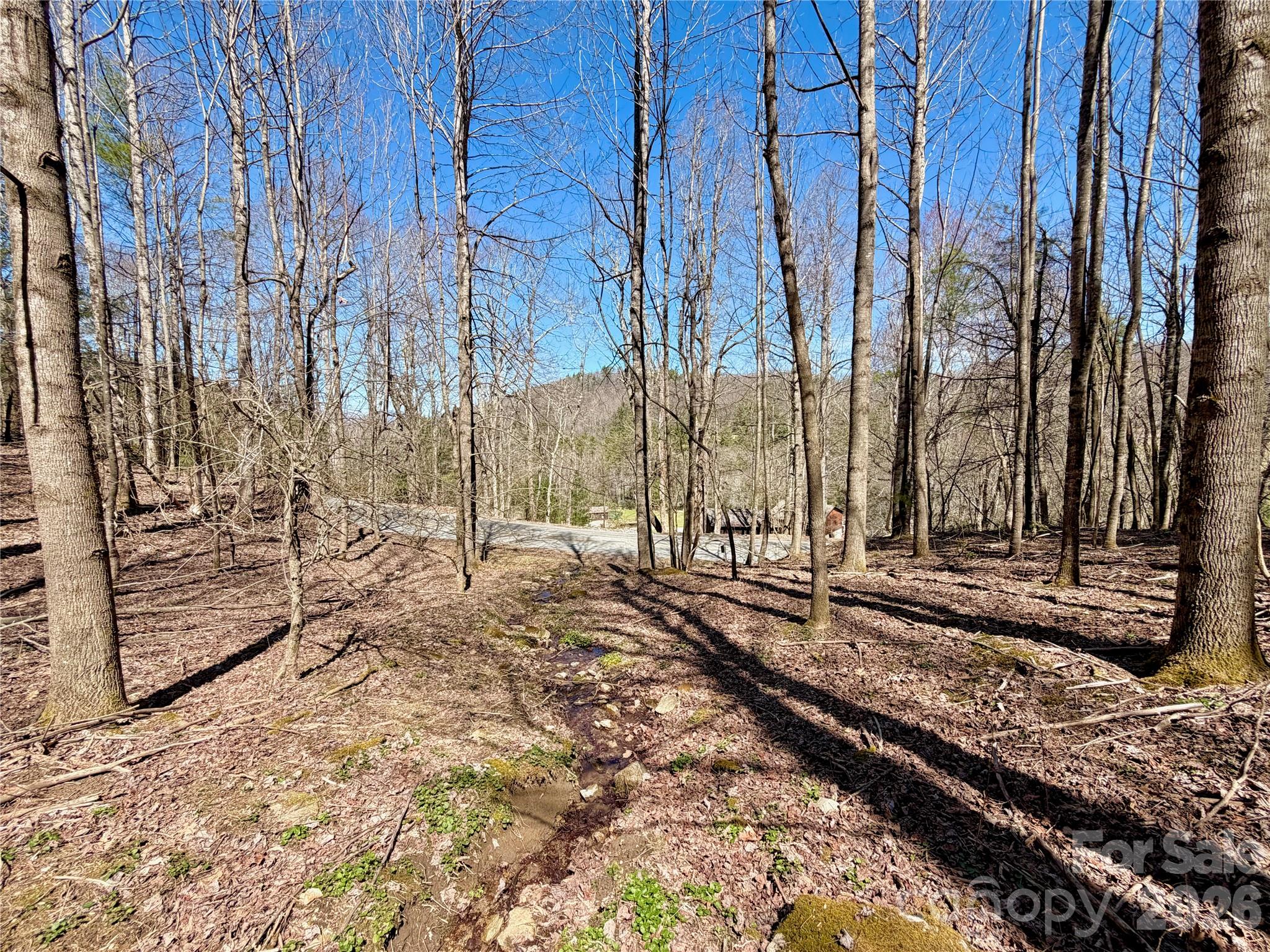 Tbd George Hayes Road Boone NC 28607