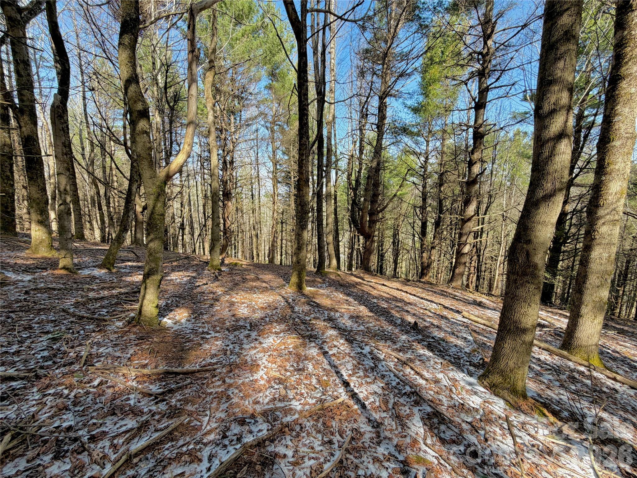 Tbd George Hayes Road Boone NC 28607