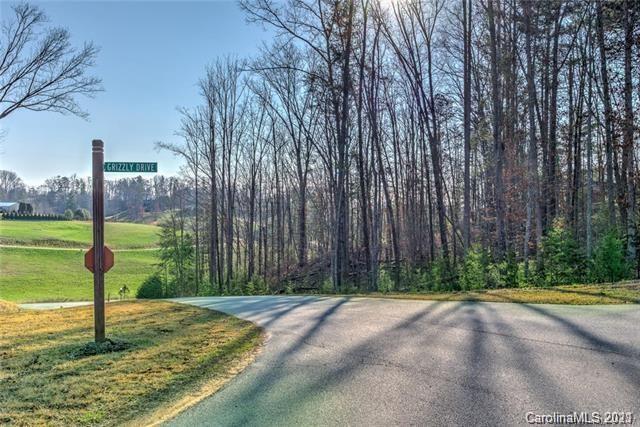18 Grizzly Drive Leicester NC 28748
