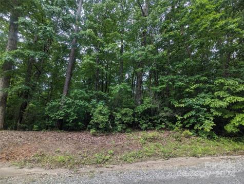 00 Jones Court Lake Lure NC 28746