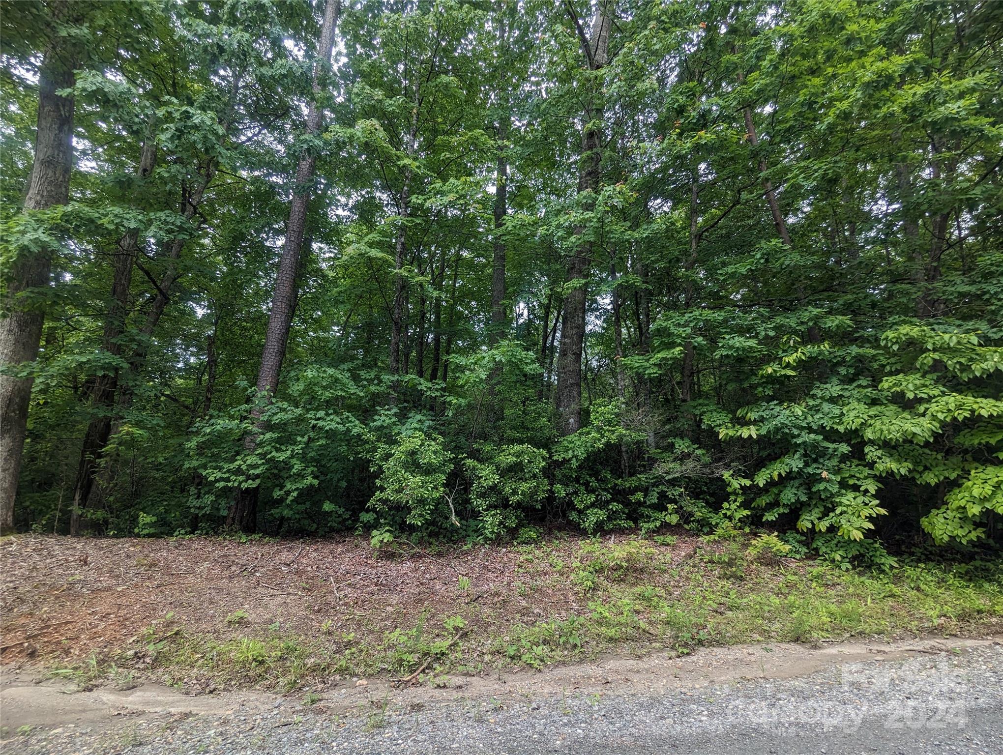 00 Jones Court Lake Lure NC 28746