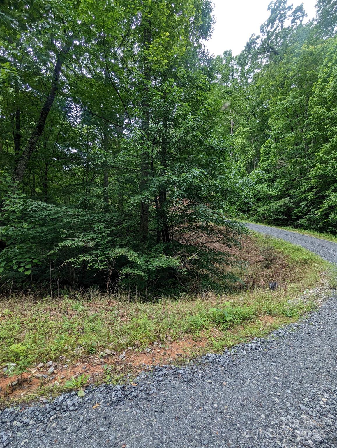 00 Jones Court Lake Lure NC 28746