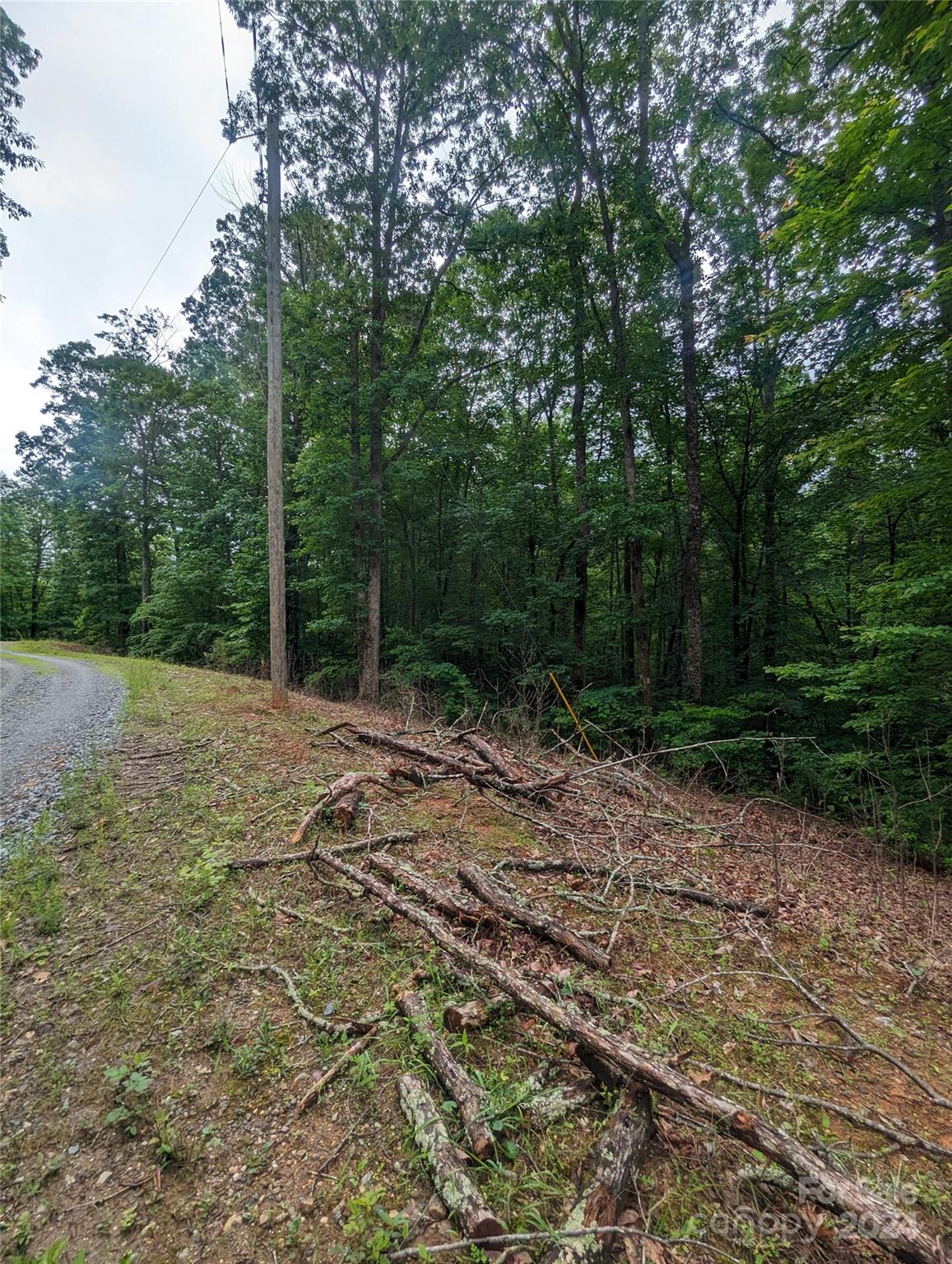 00 Jones Court Lake Lure NC 28746