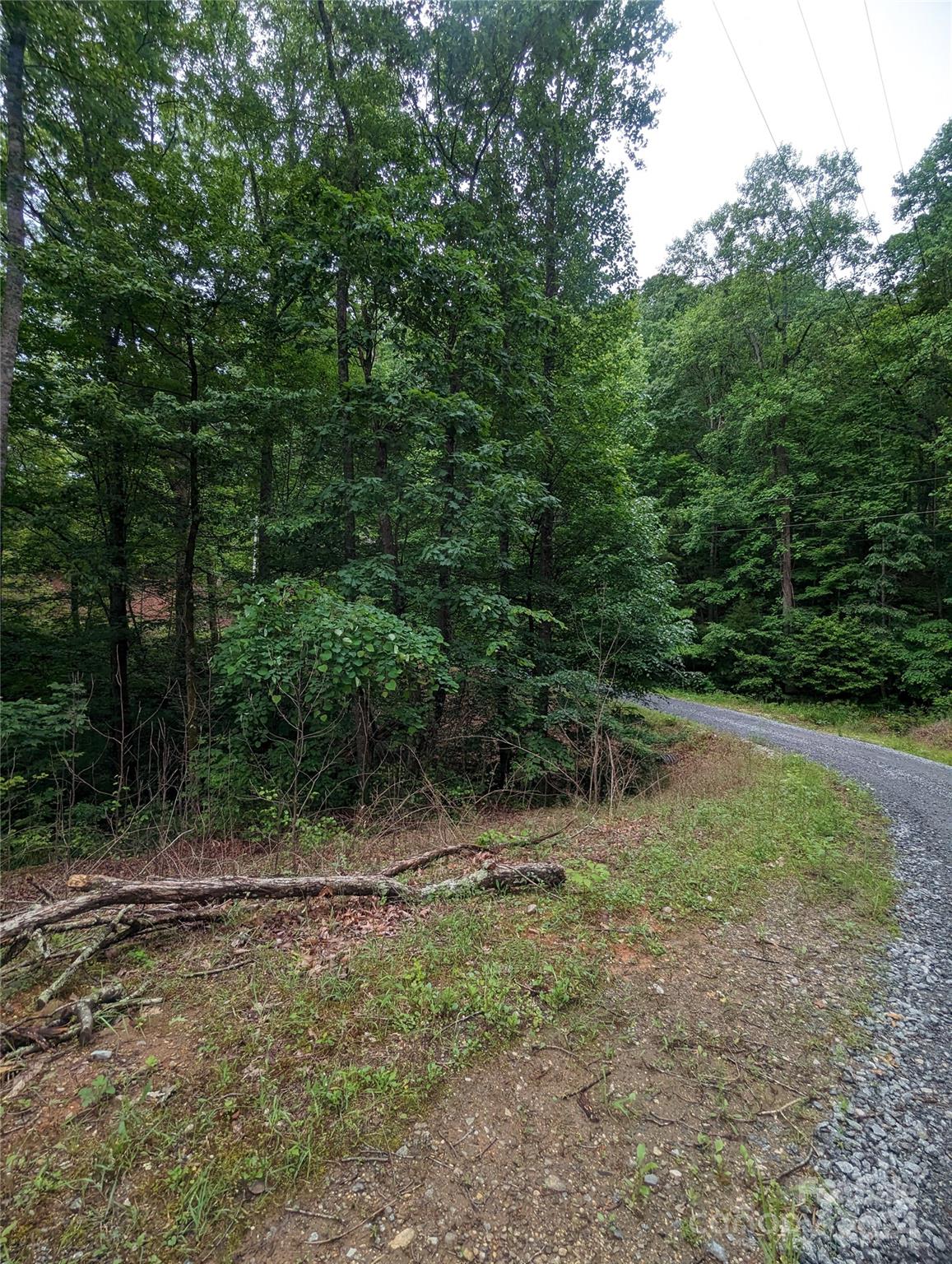 00 Jones Court Lake Lure NC 28746