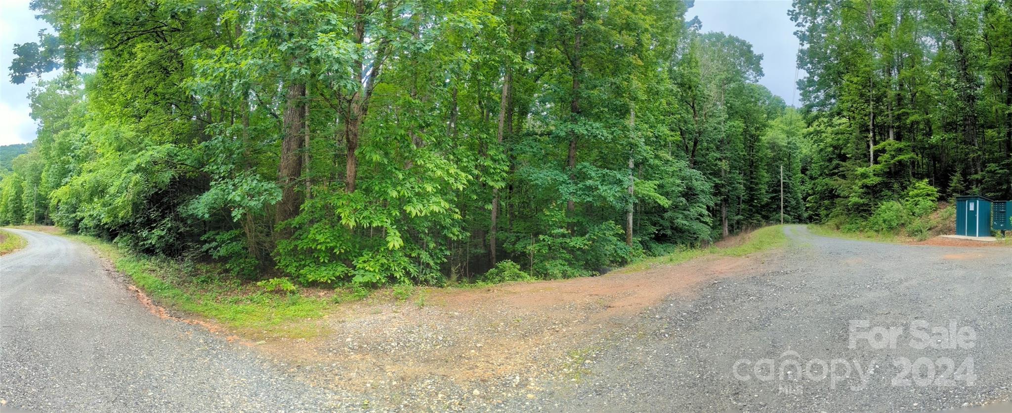 00 Jones Court Lake Lure NC 28746