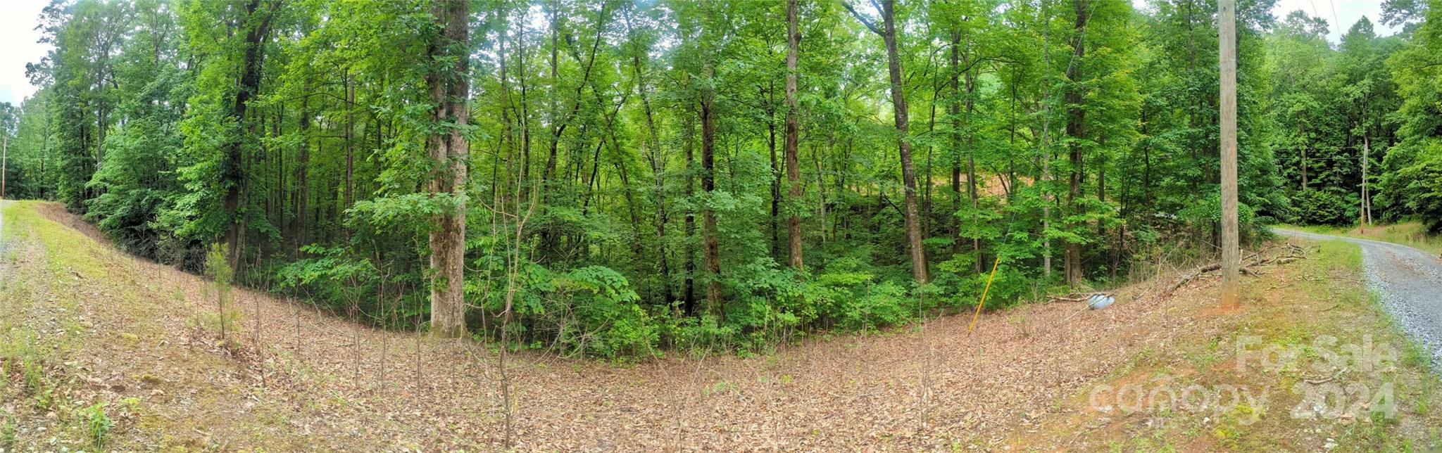 00 Jones Court Lake Lure NC 28746