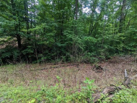 00 Jones Court Lake Lure NC 28746