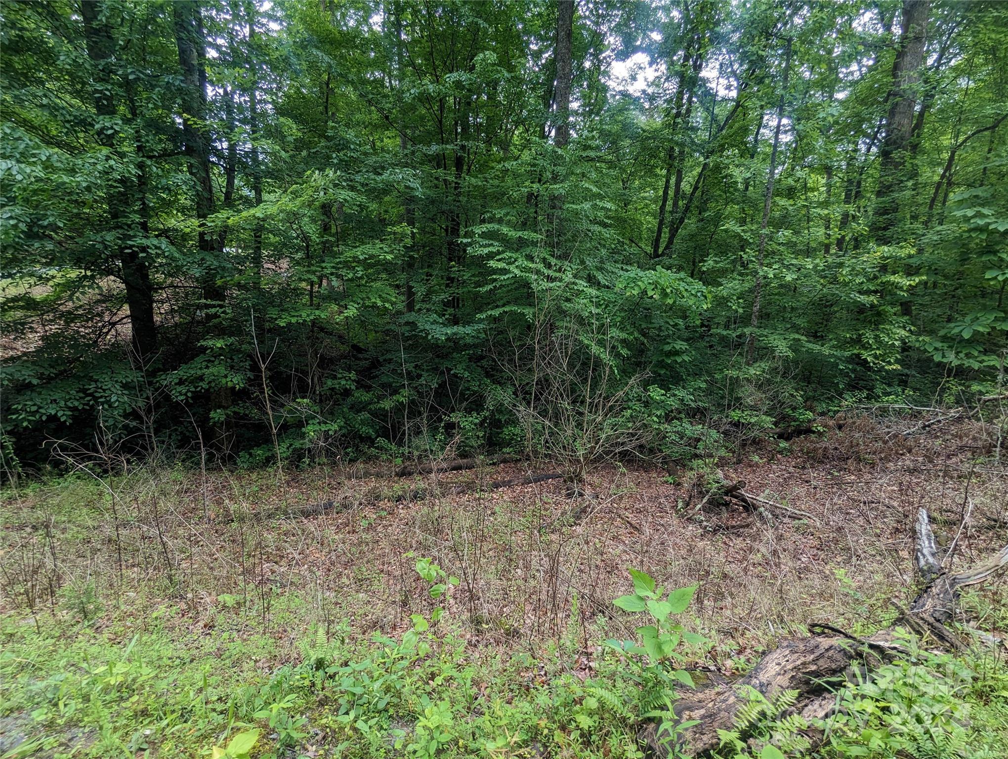 00 Jones Court Lake Lure NC 28746