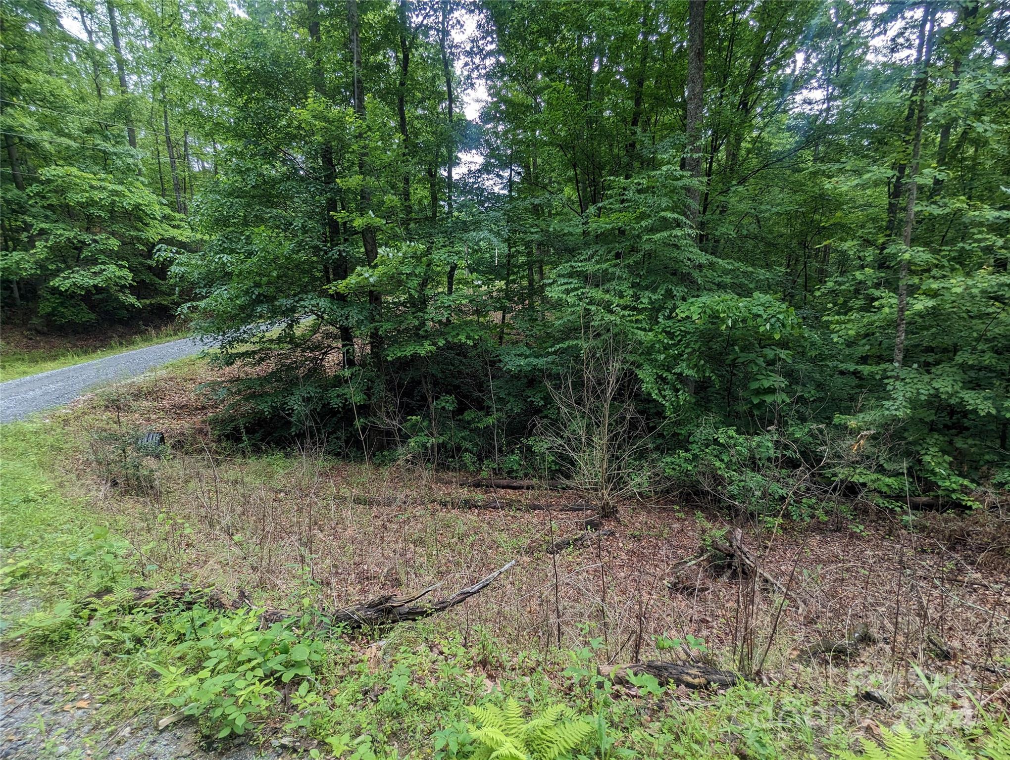 00 Jones Court Lake Lure NC 28746