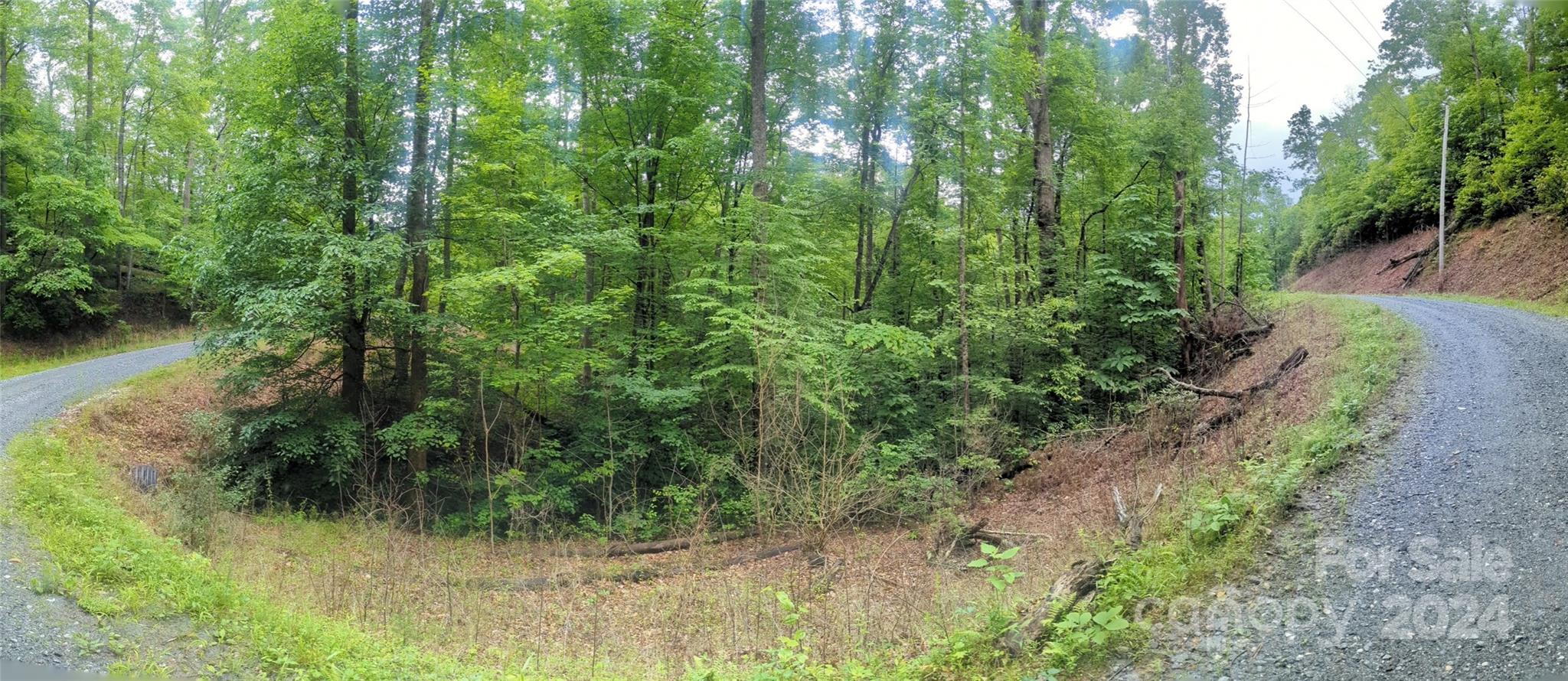 00 Jones Court Lake Lure NC 28746