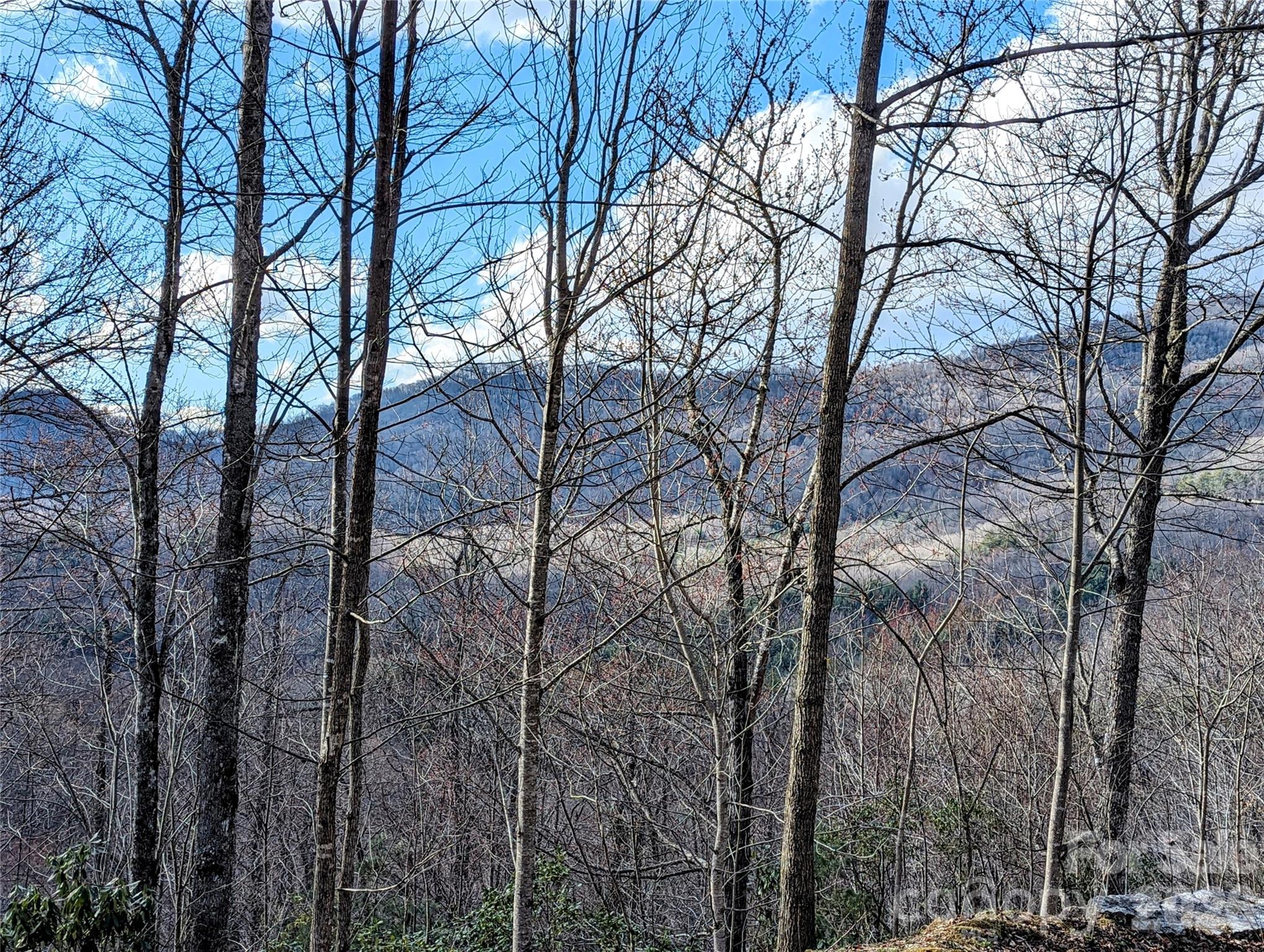 0 Dodgen Ridge Road Tuckasegee NC 28783