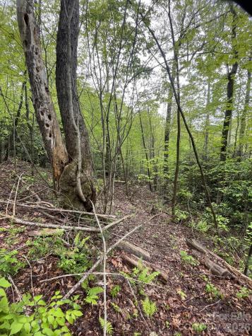 0 Dodgen Ridge Road Tuckasegee NC 28783