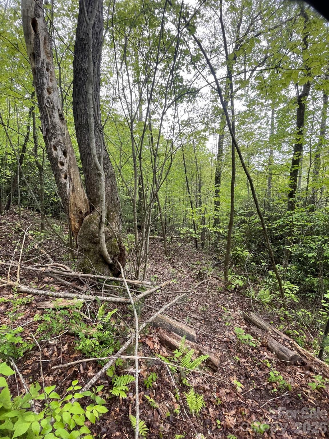 0 Dodgen Ridge Road Tuckasegee NC 28783