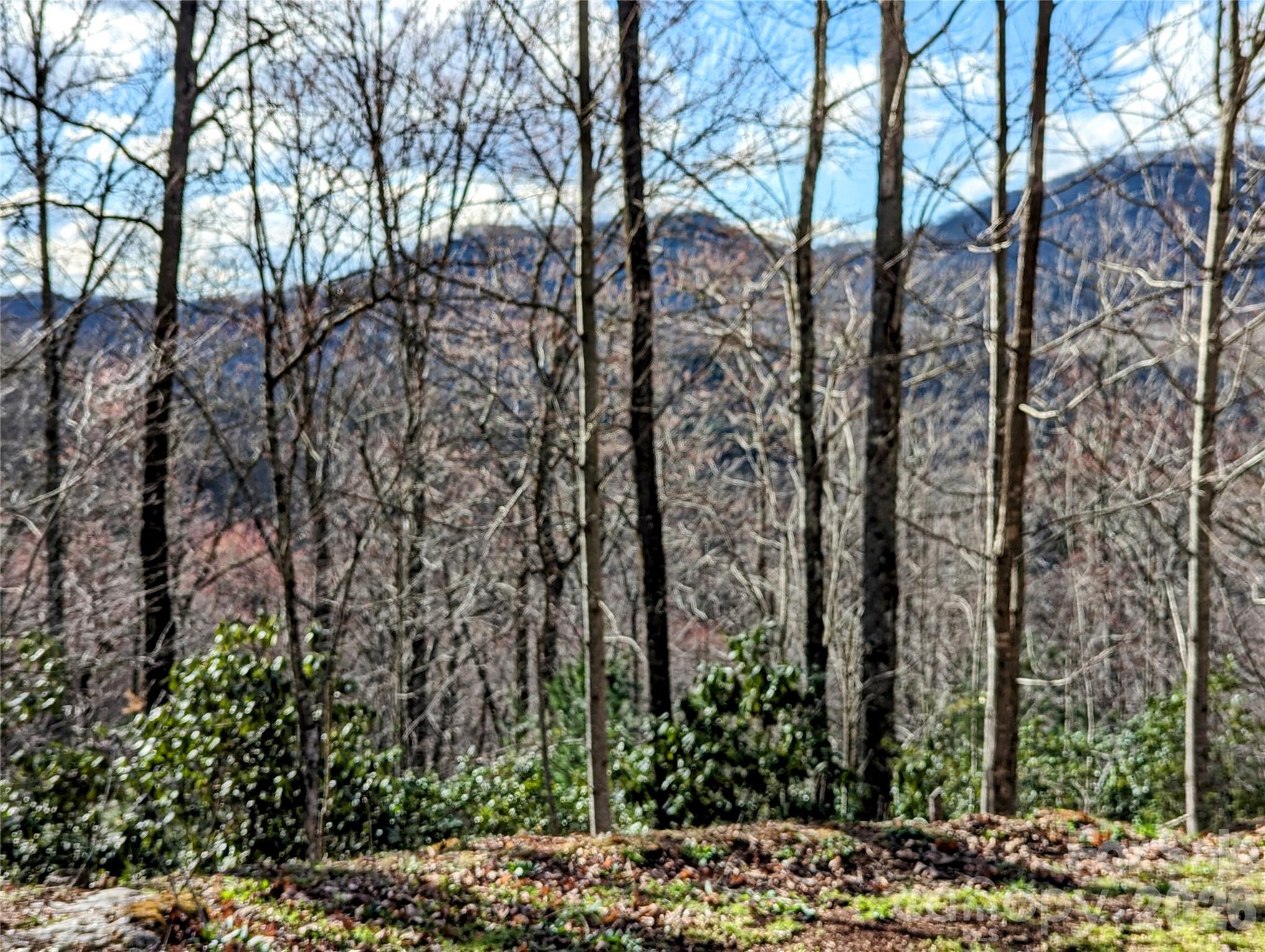 0 Dodgen Ridge Road Tuckasegee NC 28783