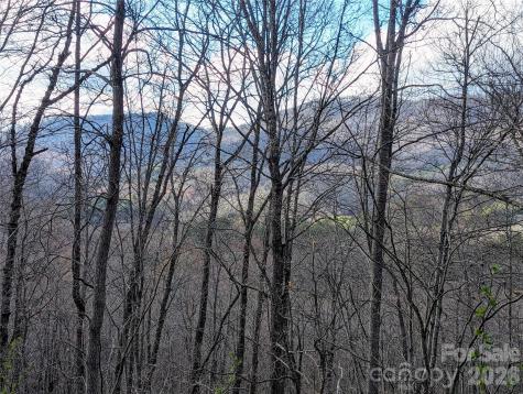 0 Dodgen Ridge Road Tuckasegee NC 28783