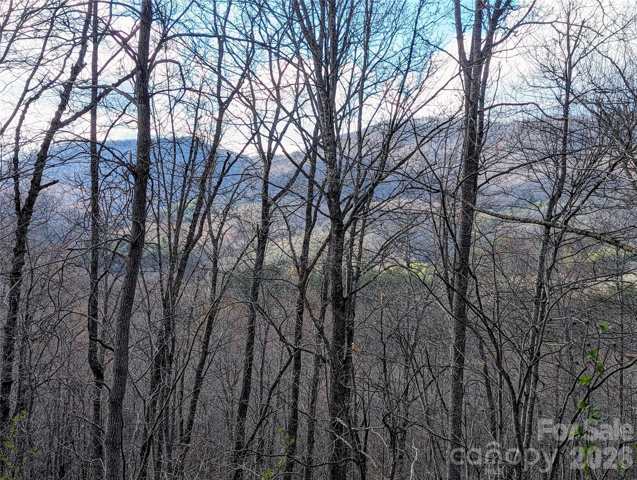 0 Dodgen Ridge Road Tuckasegee NC 28783