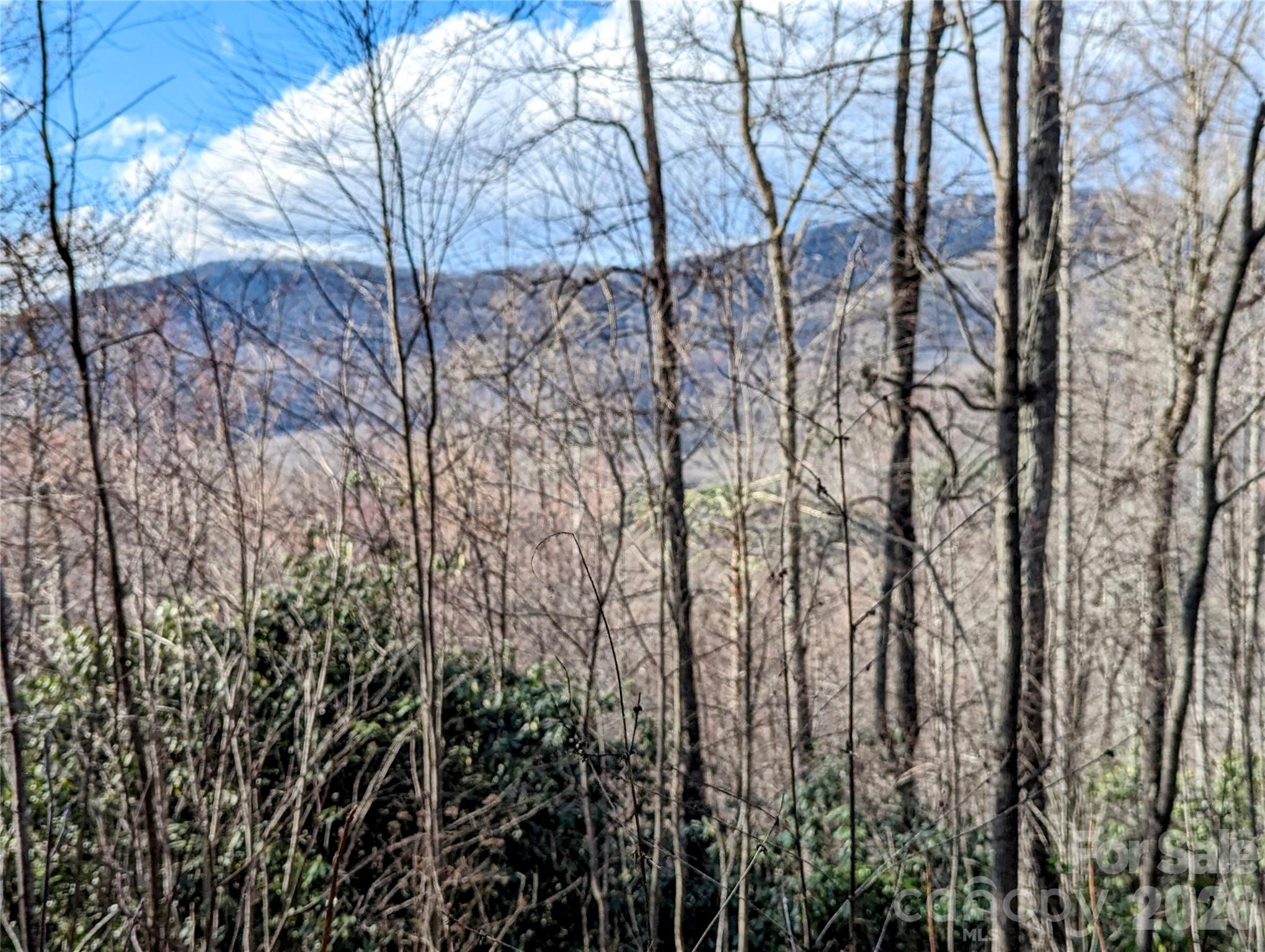 0 Dodgen Ridge Road Tuckasegee NC 28783